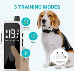 Dog Training Shock Collar