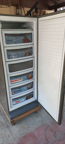 DAWLANCE VERTICAL FREEZER 1