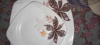 Catering Plates for sale 250 per set