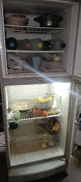 PEL Refrigerator 4