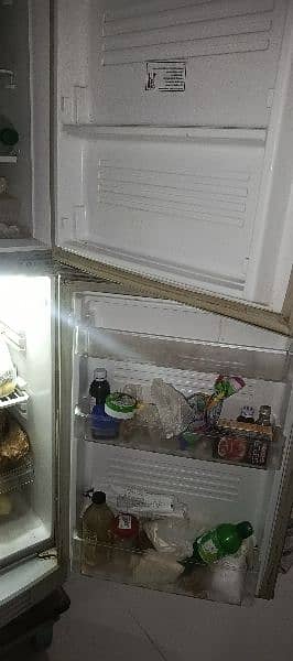 PEL Refrigerator 5