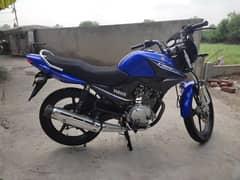 Yamaha YBR 125 2021