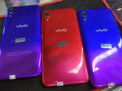 vivo