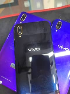 Vivo