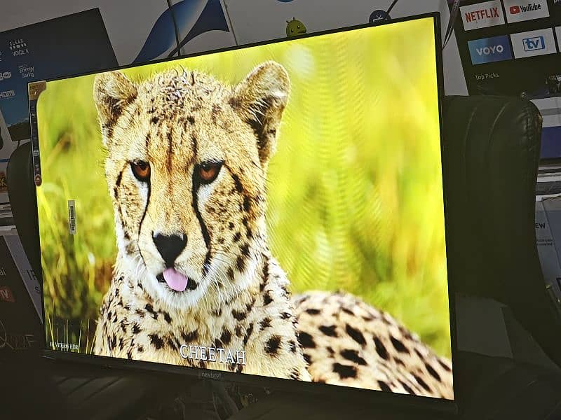 55  INCH Q LED NEW Software BEST QUALITY   03228083060 0