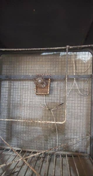 Bird Cages 1