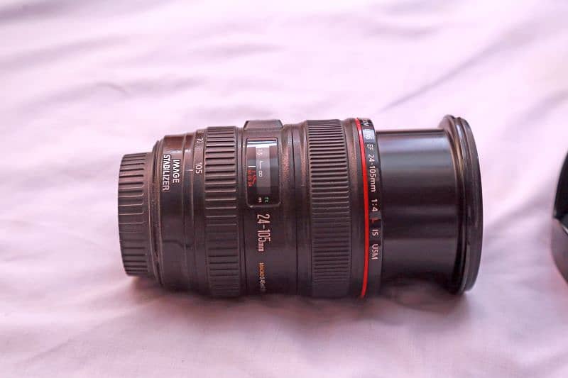 canon /24-105/f4L 0