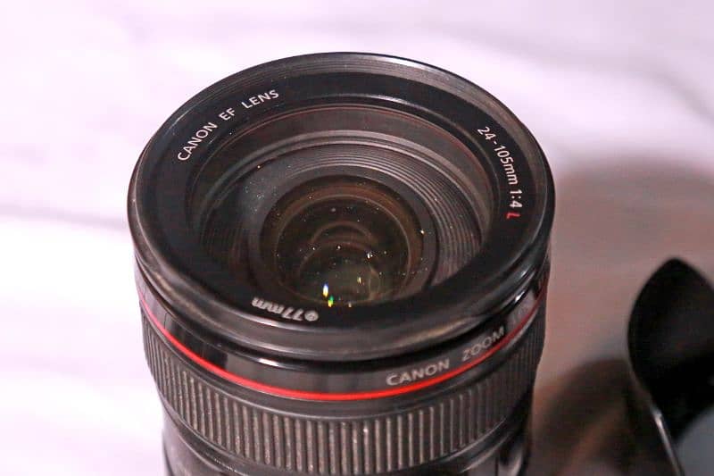 canon /24-105/f4L 4