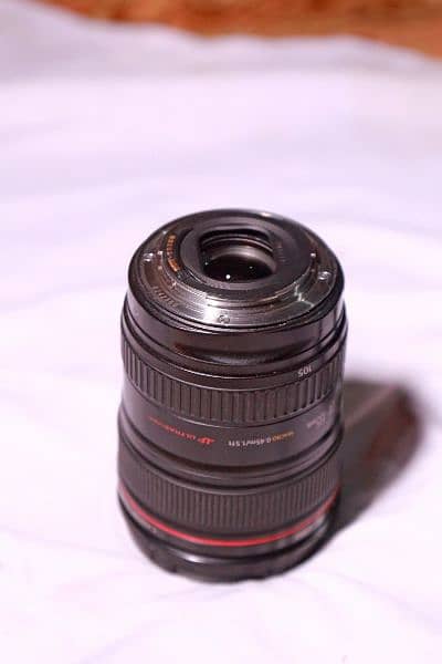 canon /24-105/f4L 5