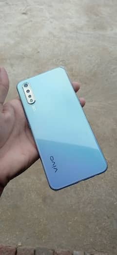 vivo