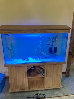 4ft aquarium and 7 tilapia, dollarfish, knife fish. heater, 2 filters