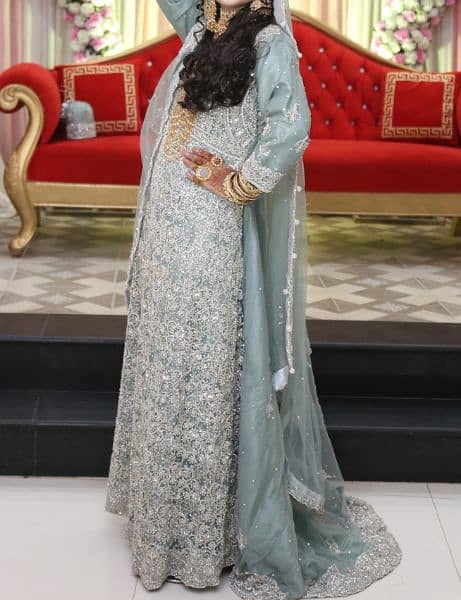 walima maxci 1