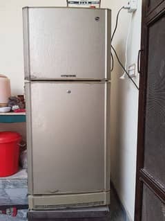 PEL REFRIGARATOR