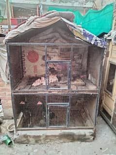 CAGE FOR HEN PARROT PIGEON