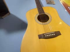 Eko Acoustic guitar 0