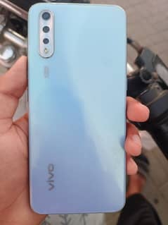 vivo