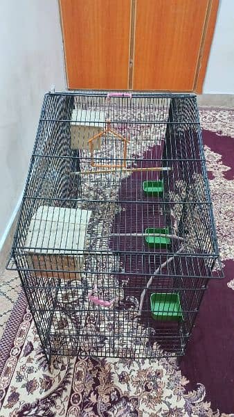 birds cage/pinjra 3