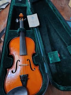 Stentor Violin From England