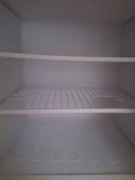 pel refrigerator 2