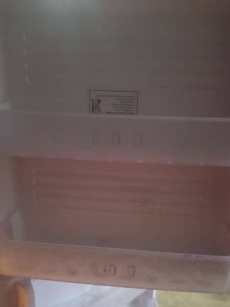 pel refrigerator 3