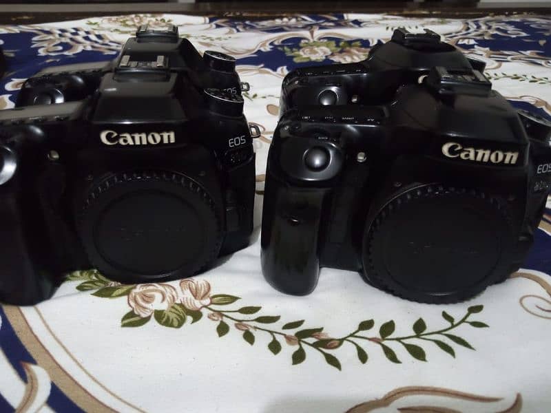 80d Camera Perfect condition Rawalpindi 6