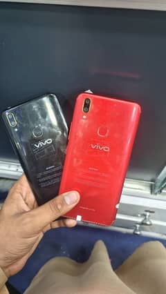 vivo