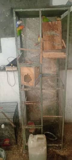 03269625375 msg ya call birds with cage all birds healthy and active