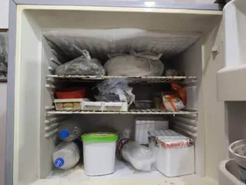 Used Fridge 9