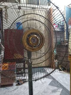 pedestal fan for sale