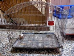 large size cage for parrots