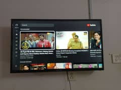 multynetAndroid 4khd tv43inch(03131328193)