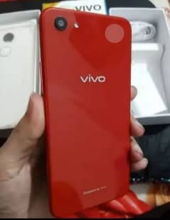 Vivo