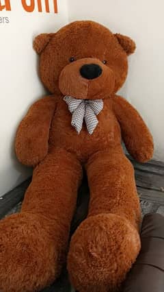 TEDDY