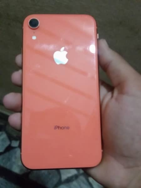 iphone xr ha bhai 10/10 condition h orange color ma 1