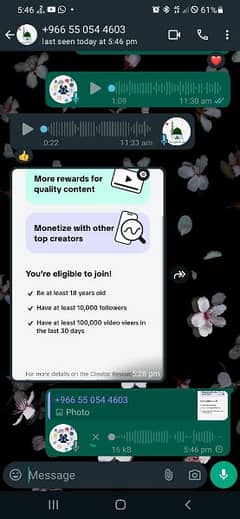 tiktok monetization