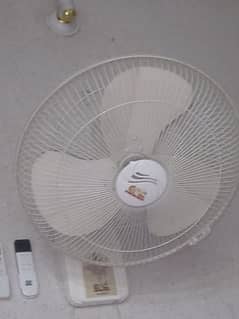 Fan