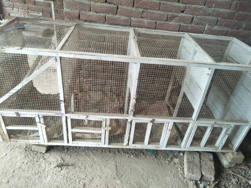 wooden cage 2