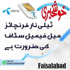 TELENOR franchise