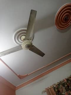 ceiling fan