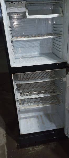 National glass Door Fridge jumbo size for sale 4