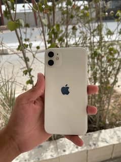 iPhone 11 White