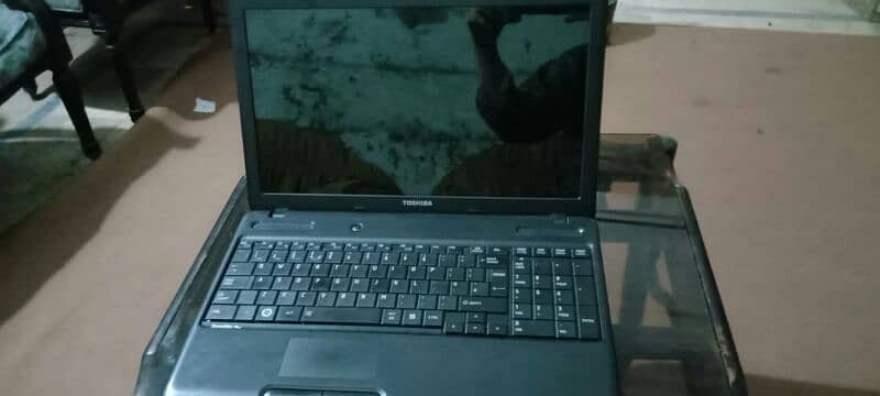 toshiba laptop 1