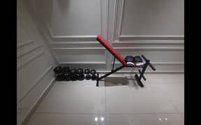 Dumbbells/Gym equipment