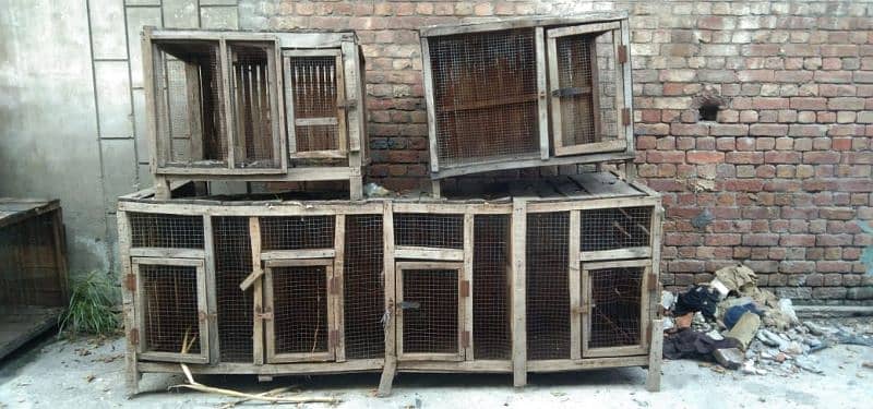 Hens cages 1