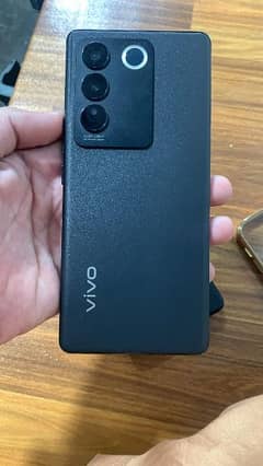 Vivo