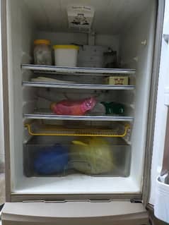 fridge