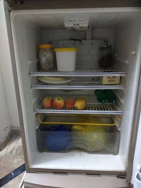 fridge 1