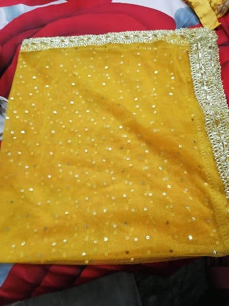 mehndi lehnga. . 3