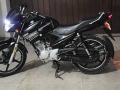 ybr 125 2016