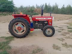 Massey 260